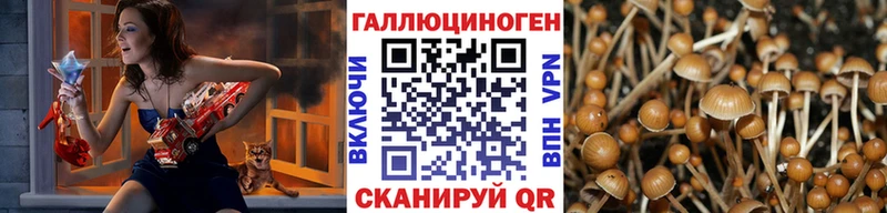 гидра зеркало  сколько стоит  Цивильск  Псилоцибиновые грибы Psilocybine cubensis 